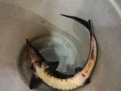 -白洋淀灶台鱼(名佳花园店)
