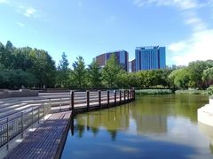 -大望京公园