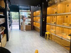 -欣宠猫屋·矮脚拿破仑·蓝金金渐层