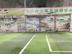-飞梦少儿足球培训(塘桥校区)