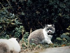 -糖果时光文创产业园