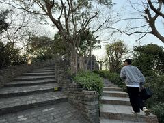 -小南山公园