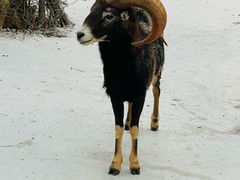 -广东茂名森林公园