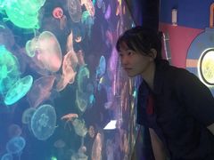 -烟台海昌鲸鲨海洋公园