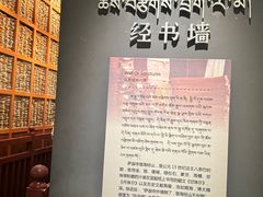 -青海藏文化博物院