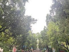 -千佛山风景名胜区