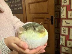 -永安鱼庄·镇江菜(丁卯店)