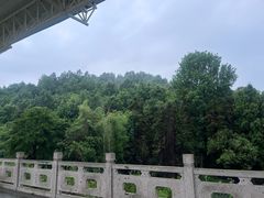 -柳州肥姨妈大骨螺蛳粉(双阳路店)