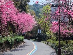 -杭州半山国家森林公园