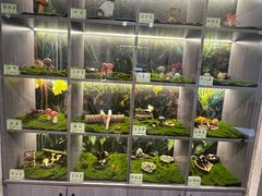 -七采菌园·野生菌石锅鱼(环城北路店)