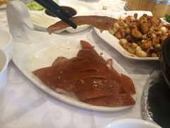-金蝉食府(维吉奥广场店)