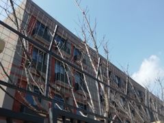 -金陵中学(河西分校)