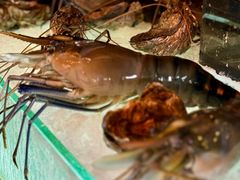 -Ministry of Crab(科伦坡店)