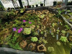 -国家植物园南园