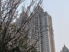 -武昌江滩