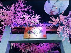 -韵秋荷(宝山龙湖天街店)