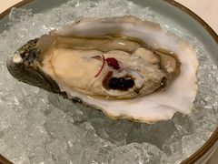 吉拉多生蚝配分子黑醋-酒池星座(深圳湾后海汇店)
