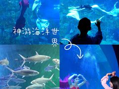 -威海华夏城景区