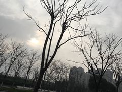 -瓦记米粉(东鼓道店)