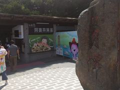 -日月潭