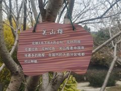 -南溪山景区
