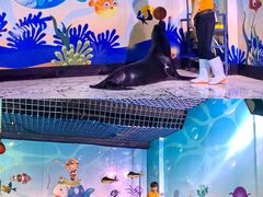 -太平洋海底世界