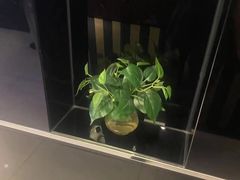 -德全心悦酒店(北京金台路地铁站店)