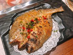 -九府羊·鲜羊火锅·烤串(新华路店)