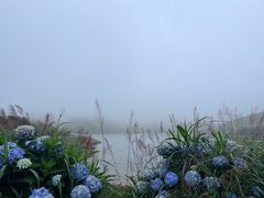 -嵛山岛
