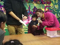 -上海大自然野生昆虫馆(东方明珠·爬宠昆虫探索中心)
