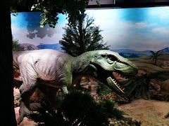 -国家自然博物馆