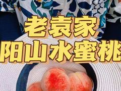 -老袁家蜜桃农场·阳山水蜜桃