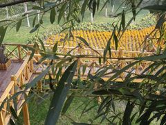 -武清南湖绿博园