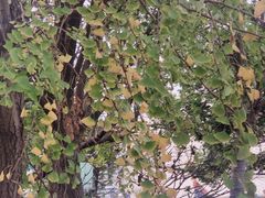 -剪刀石头布家居广场