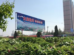 -曹州百花园
