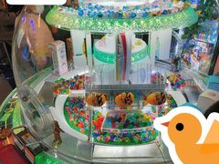 -大玩家(大连高新万达店)