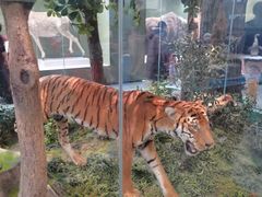 -国家自然博物馆