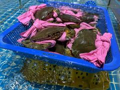 -皮记海鲜1995(寮步店)