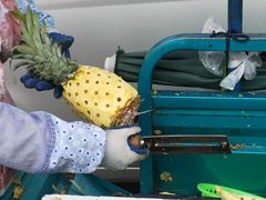 -星隆国际·芜湖小吃街
