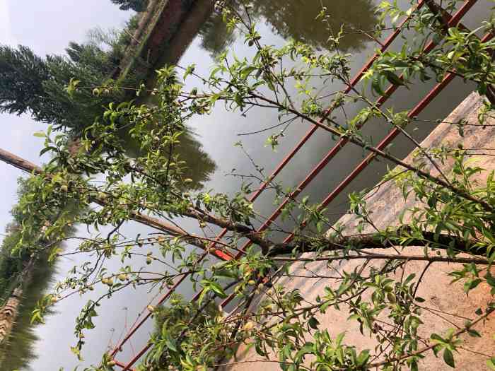 沾益印象农庄-"一个偶然的机会,无意间闯进了沾益印象农庄.