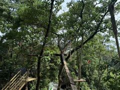 -芦仙山景区-飞越丛林探险乐园