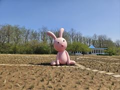 -沈阳植物园