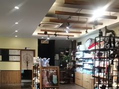-宠颐生斯嘉宠物医院·急重症·心内科(谷阳北路分院)