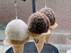 -野人先生现做冰淇淋(北京环宇荟店)