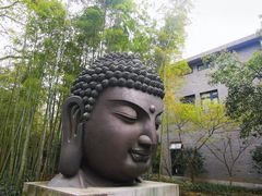 -杭州植物园