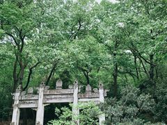 -灵谷景区