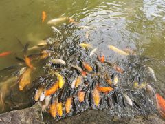 -珠海圆明新园