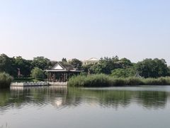-松山湖梦幻百花洲