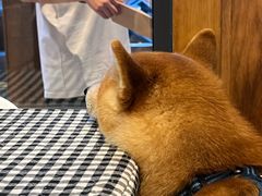 -长寿参鸡汤(朝韩风情街店)