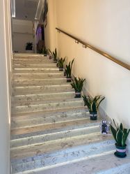 -海涛医疗美容·面部抗衰·注射美鼻